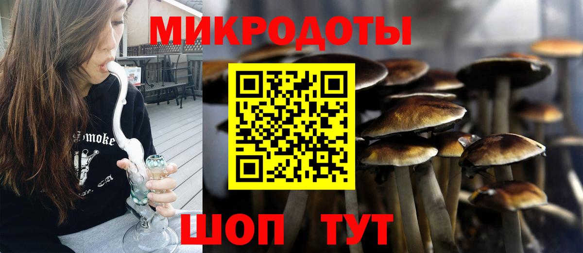 Псилоцибиновые грибы Cubensis  Вход с VPN  Рузаевка 