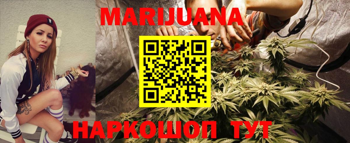 Бошки марихуана OG Kush Рузаевка